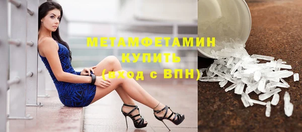 гашик Вяземский