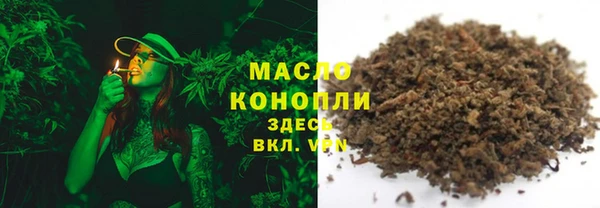 гашик Вяземский