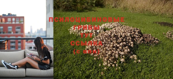 бошки Вязьма