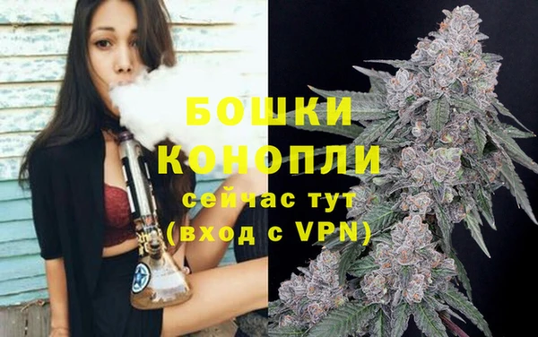 гашик Вяземский