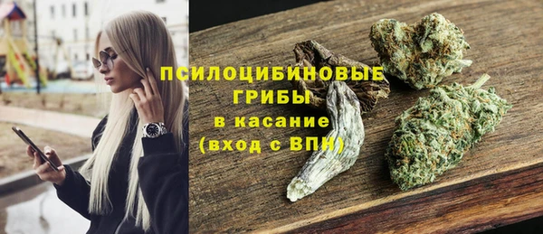 бошки Вязьма