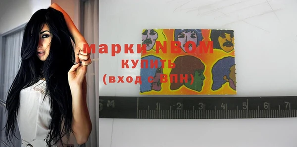 дживик Горняк
