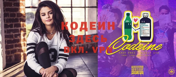 гашик Вяземский