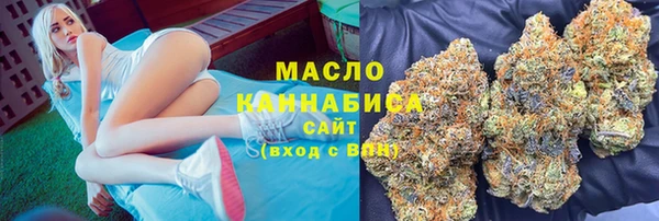 гашик Вяземский