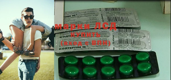 гашик Вяземский