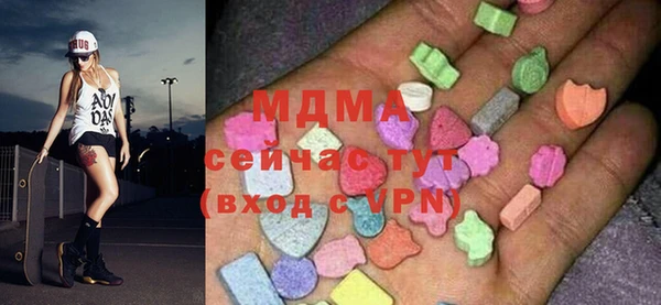 гашик Вяземский