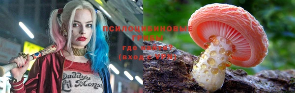 бошки Вязьма