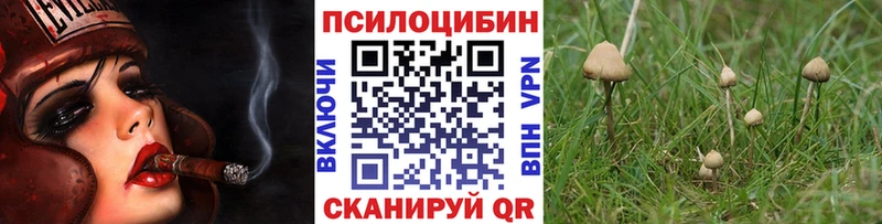 kraken ссылки  Краснослободск  Псилоцибиновые грибы ЛСД  купить  