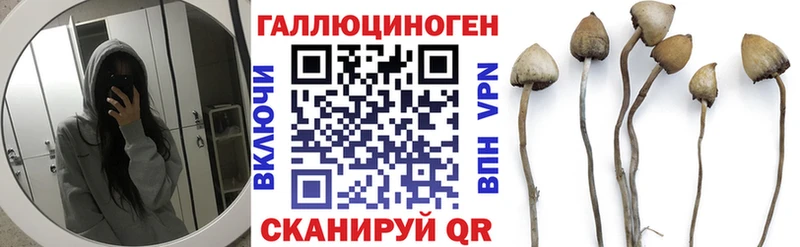 Псилоцибиновые грибы GOLDEN TEACHER Краснослободск